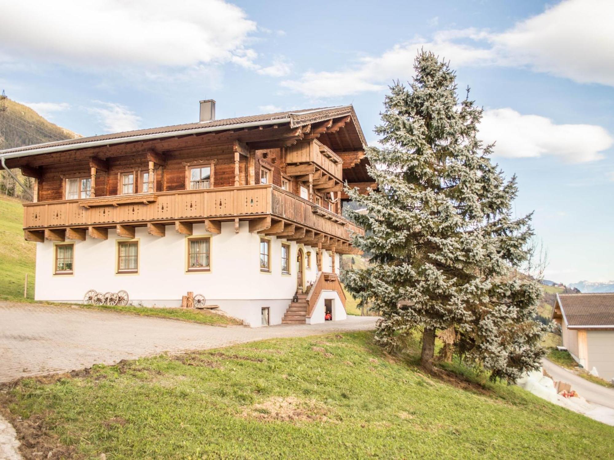 Rauchenbacher Apartments Mittersill Dış mekan fotoğraf